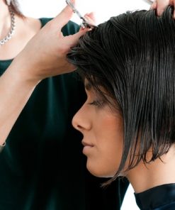 Ladies Haircut and Blow Dry